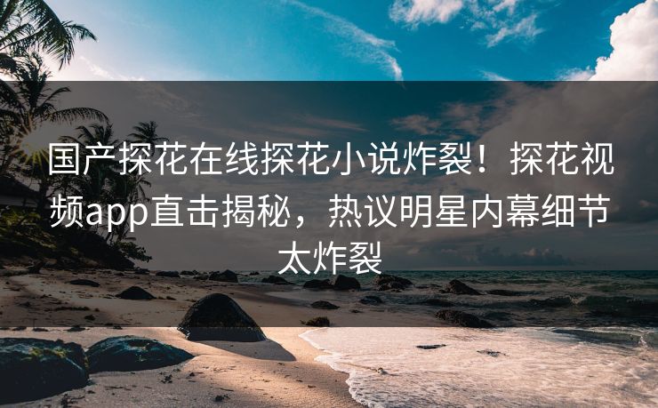 国产探花在线探花小说炸裂！探花视频app直击揭秘，热议明星内幕细节太炸裂