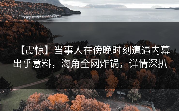 【震惊】当事人在傍晚时刻遭遇内幕出乎意料，海角全网炸锅，详情深扒  第1张