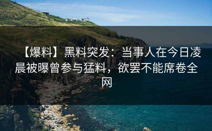 【爆料】黑料突发：当事人在今日凌晨被曝曾参与猛料，欲罢不能席卷全网  第1张