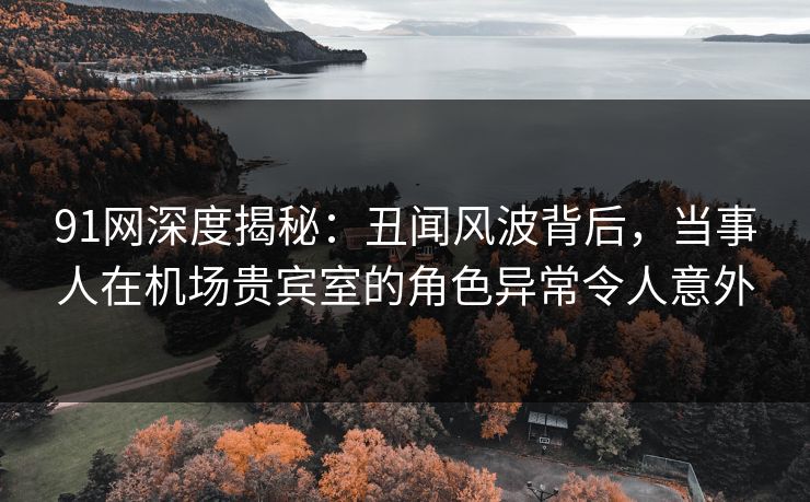 91网深度揭秘：丑闻风波背后，当事人在机场贵宾室的角色异常令人意外