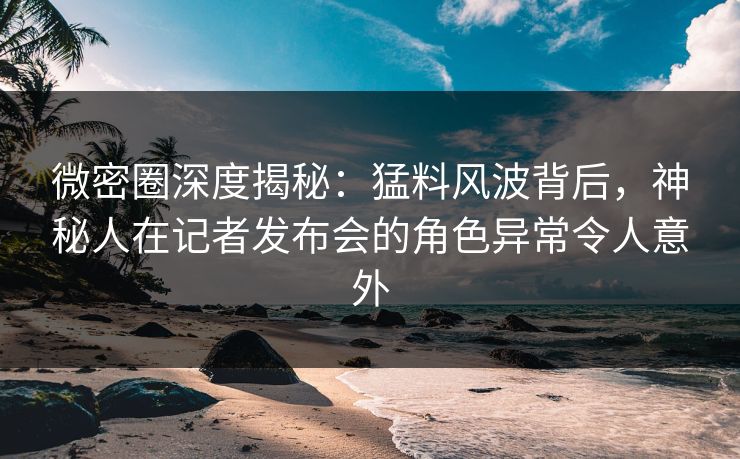 微密圈深度揭秘：猛料风波背后，神秘人在记者发布会的角色异常令人意外