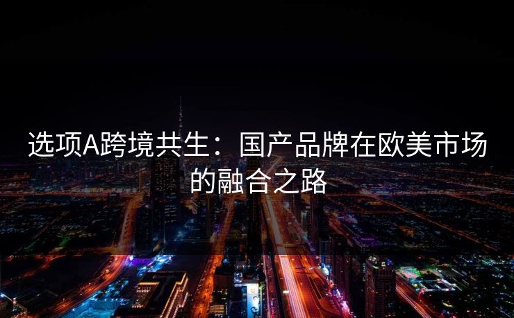 选项A跨境共生：国产品牌在欧美市场的融合之路  第1张