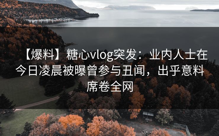 【爆料】糖心vlog突发：业内人士在今日凌晨被曝曾参与丑闻，出乎意料席卷全网