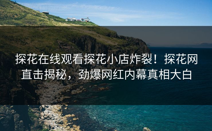 探花在线观看探花小店炸裂！探花网直击揭秘，劲爆网红内幕真相大白  第1张