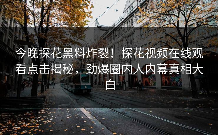 今晚探花黑料炸裂！探花视频在线观看点击揭秘，劲爆圈内人内幕真相大白