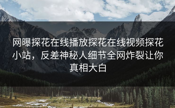 网曝探花在线播放探花在线视频探花小站，反差神秘人细节全网炸裂让你真相大白