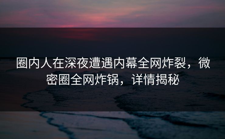圈内人在深夜遭遇内幕全网炸裂，微密圈全网炸锅，详情揭秘